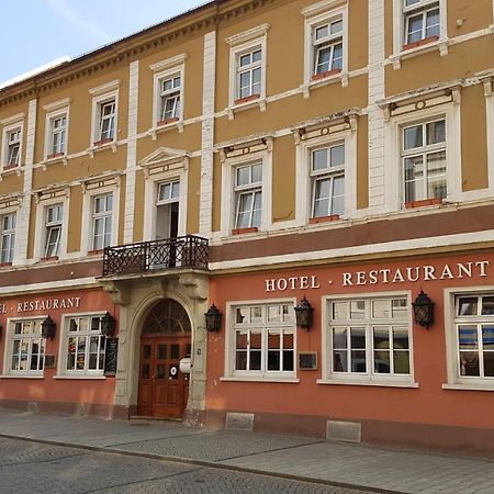 Hotel Sachsenhof Riesa Zewnętrze zdjęcie