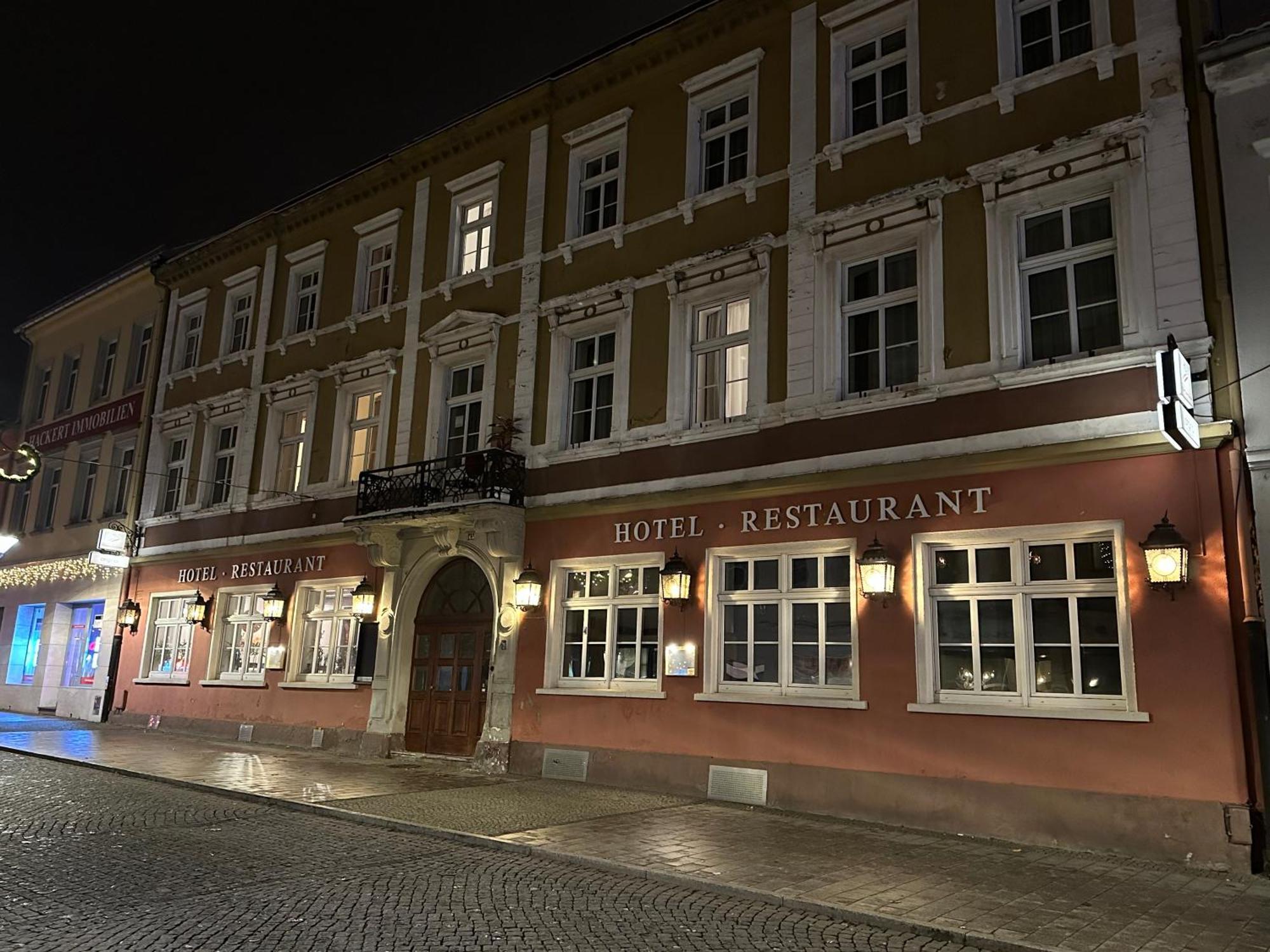 Hotel Sachsenhof Riesa Zewnętrze zdjęcie
